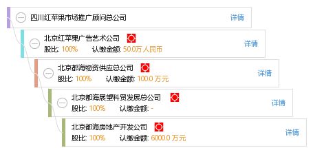 四川红苹果市场推广顾问总公司